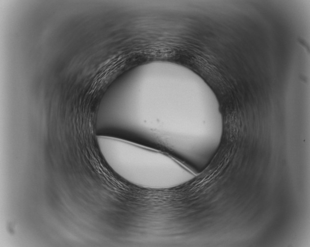 X0000101121058200806261040