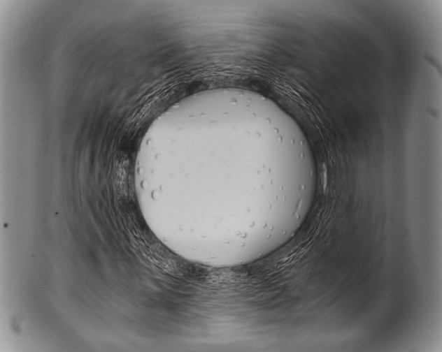 X0000101121059200806261040