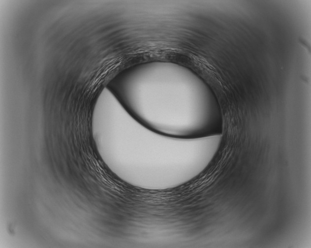 X0000101121060200806261040