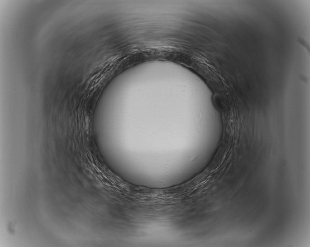 X0000101121061200806261040