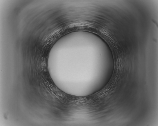 X0000101121062200806261040
