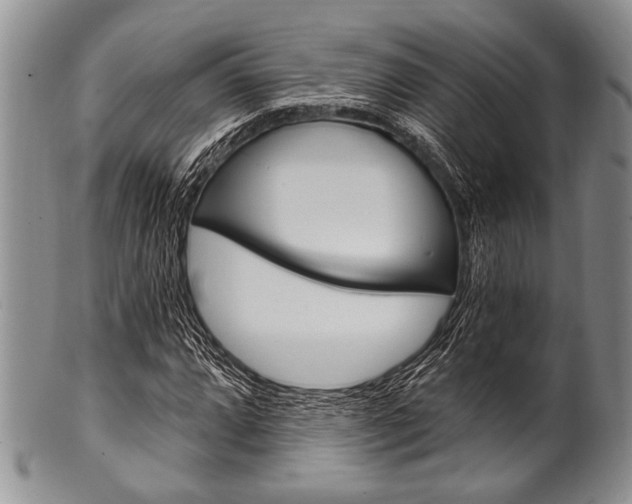 X0000101121064200806261040