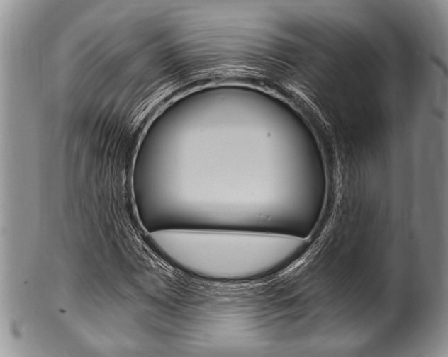 X0000101121065200806261040