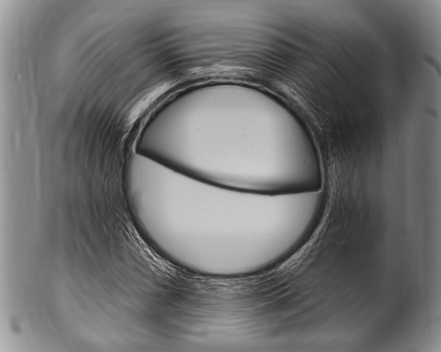 X0000101121066200806261040