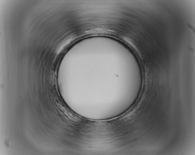 X0000101121067200806261040