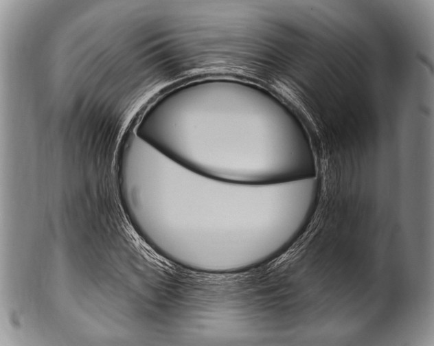 X0000101121068200806261040