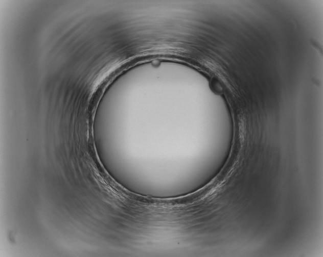X0000101121069200806261040