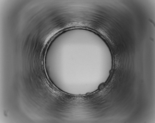 X0000101121070200806261040