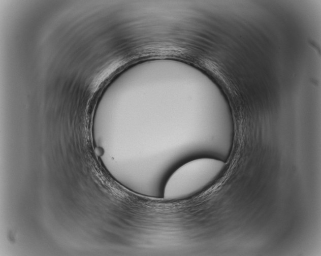 X0000101121071200806261040