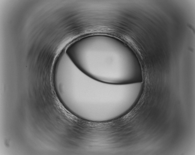 X0000101121072200806261040