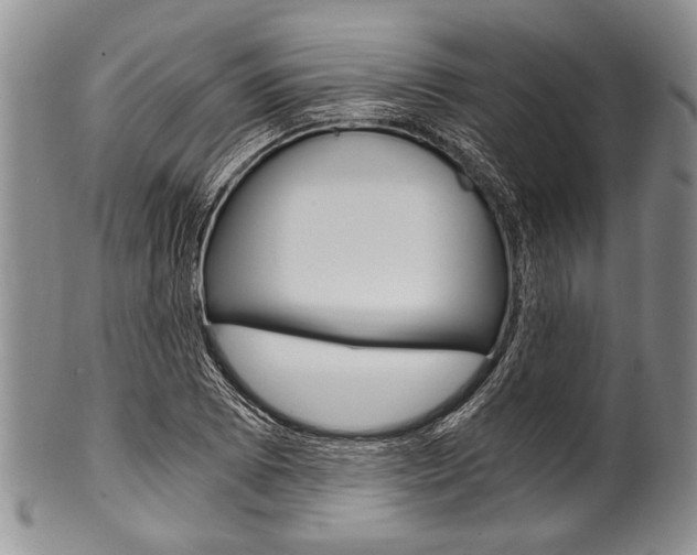 X0000101121073200806261040
