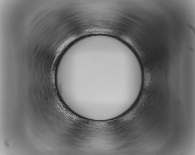 X0000101121074200806261040