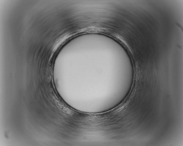X0000101121075200806261040