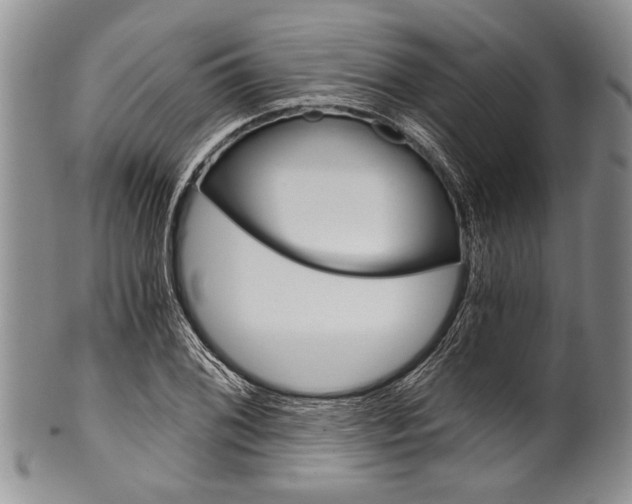 X0000101121076200806261039