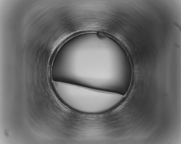 X0000101121077200806261039