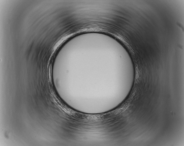 X0000101121078200806261039
