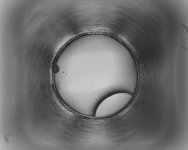 X0000101121079200806261039
