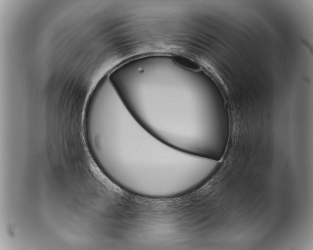 X0000101121080200806261039