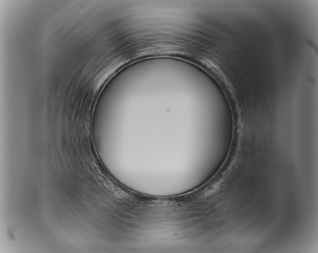 X0000101121081200806261039