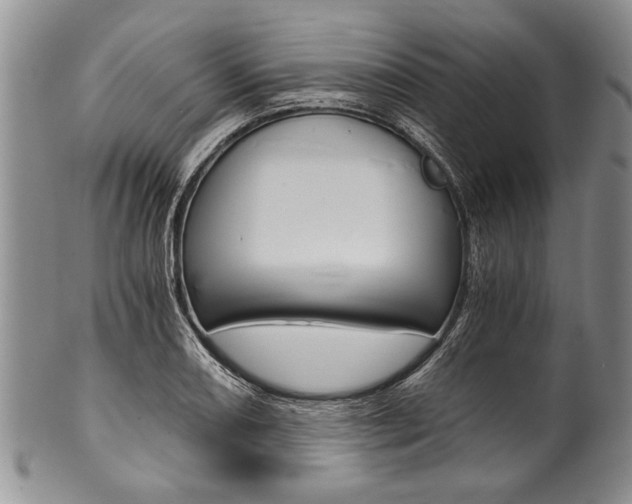 X0000101121082200806261039