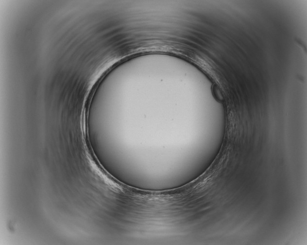 X0000101121084200806261039