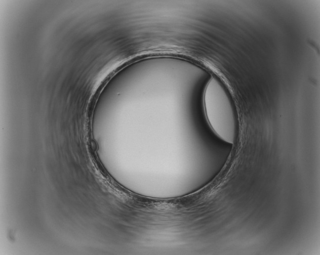 X0000101121085200806261039