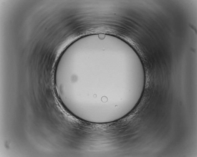 X0000101121086200806261039