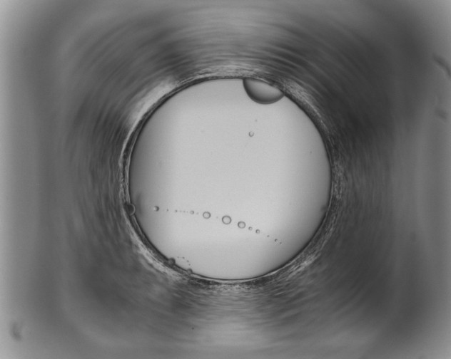 X0000101121087200806261039