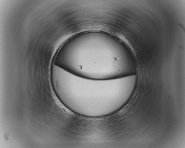 X0000101121088200806261039