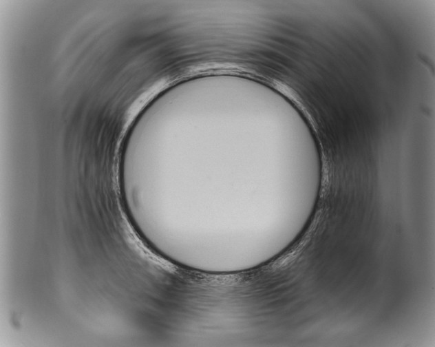 X0000101121090200806261039