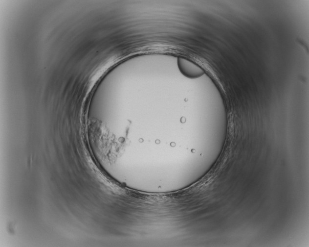 X0000101121091200806261039