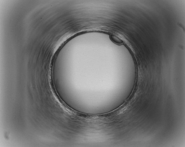 X0000101121093200806261039