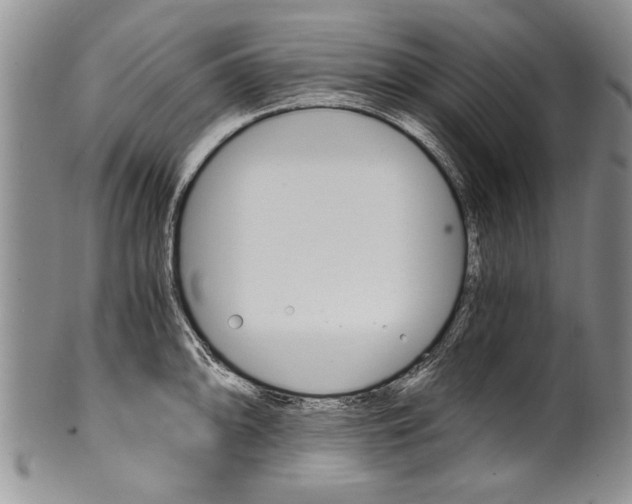 X0000101121094200806261039