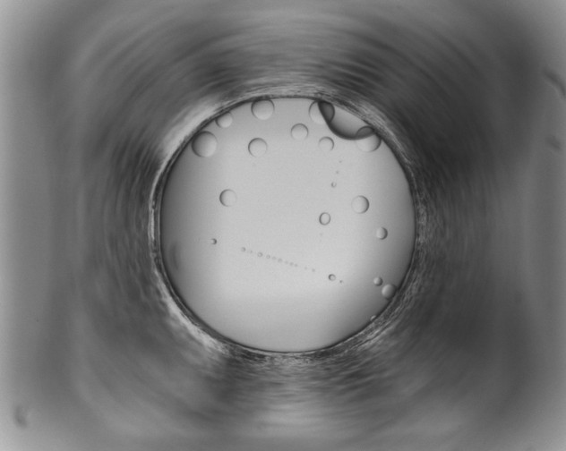 X0000101121095200806261039
