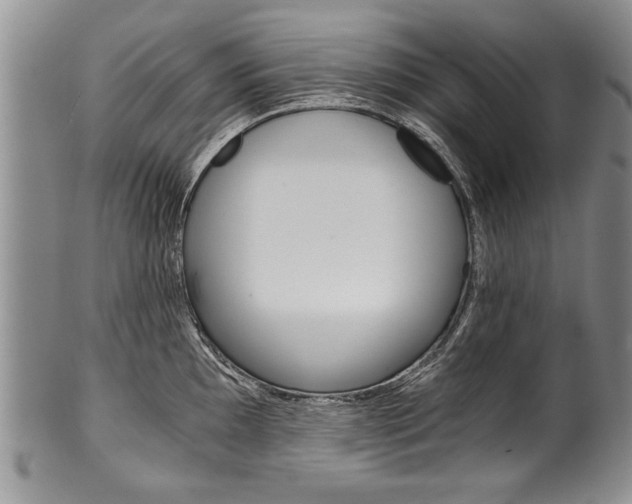 X0000101121097200806261039