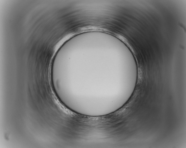 X0000101121098200806261039