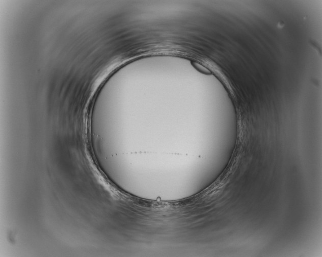 X0000101121099200806261039