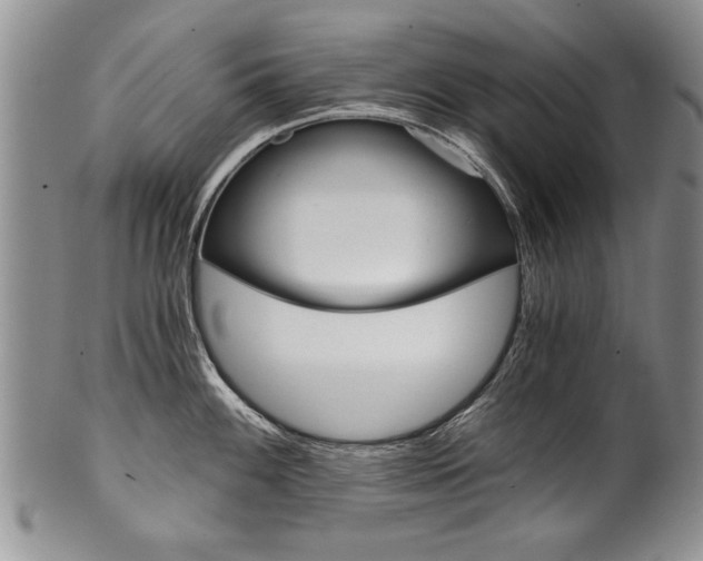 X0000101121100200806261039