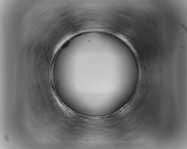 X0000101121101200806261039