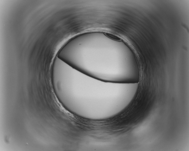 X0000101121102200806261039