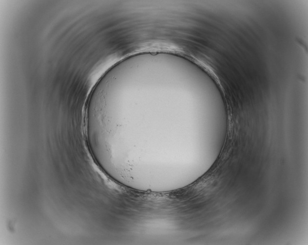 X0000101121103200806261039