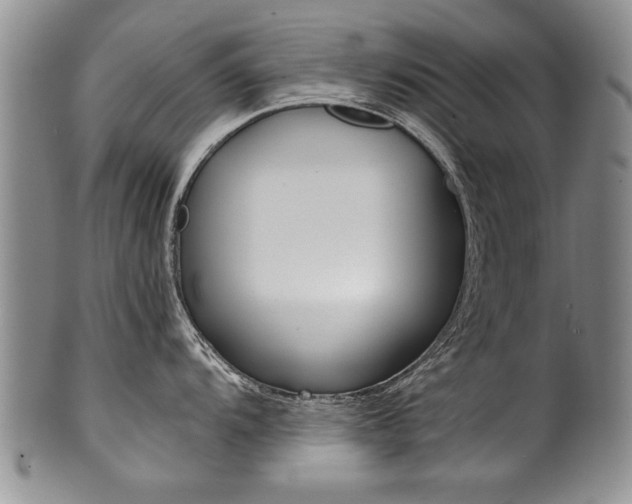 X0000101121104200806261039