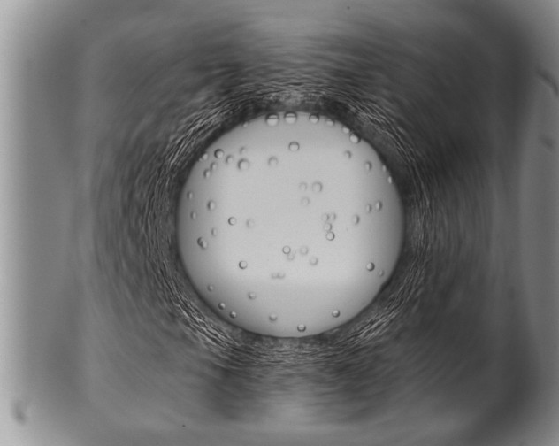 X0000101121105200806261038