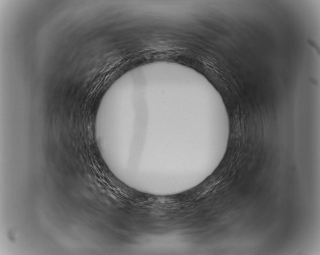 X0000101121109200806261038