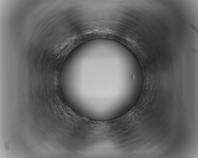 X0000101121110200806261038
