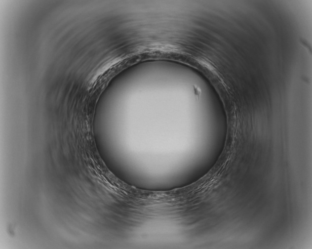 X0000101121112200806261038