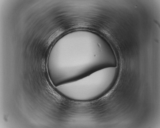 X0000101121113200806261038