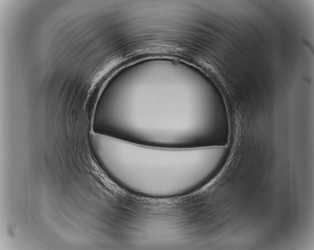 X0000101121114200806261038