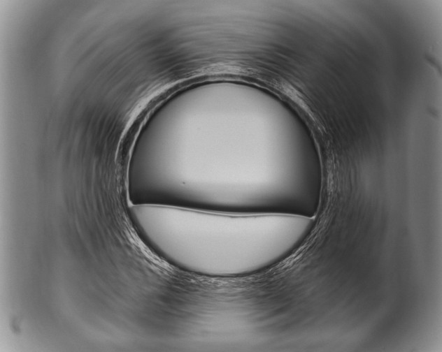 X0000101121116200806261038