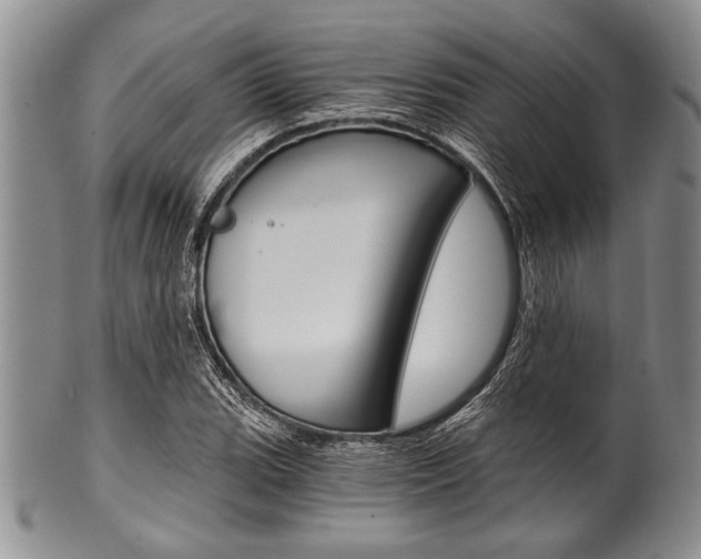 X0000101121119200806261038